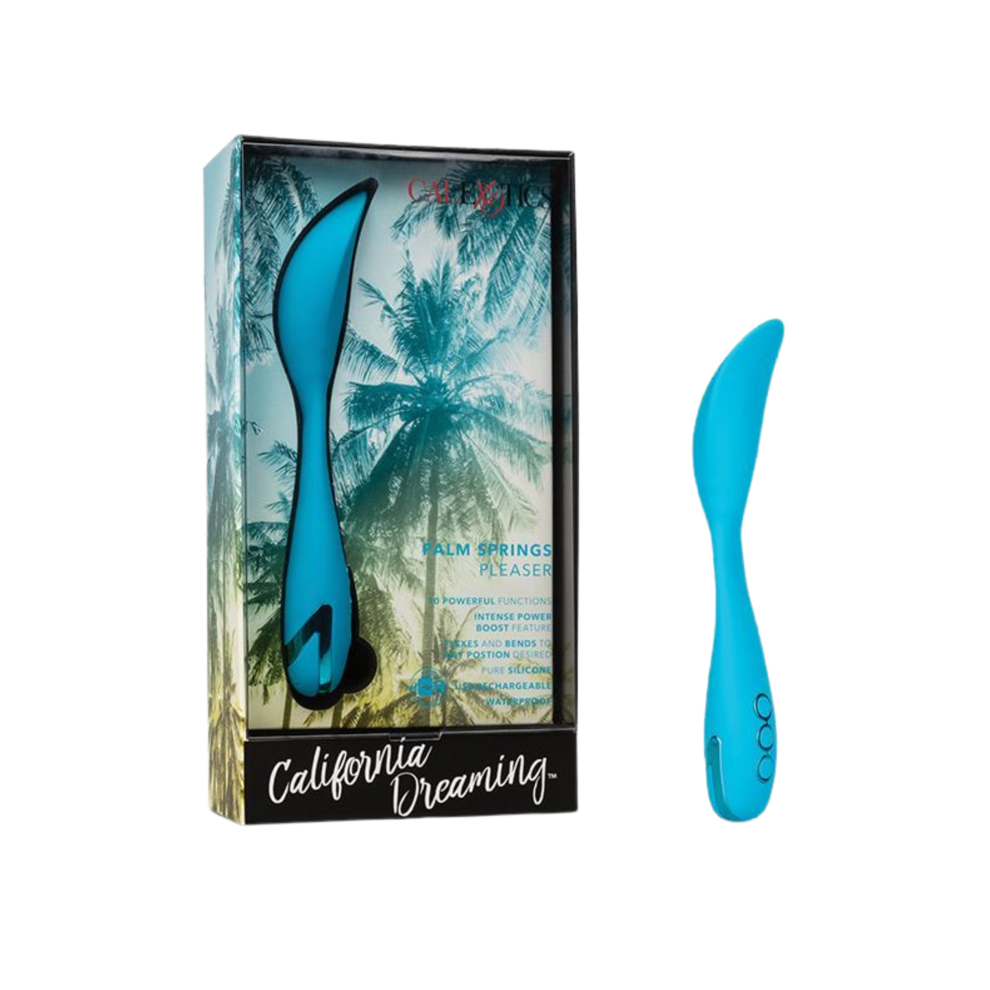 Palm Springs Pleaser